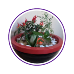 casa-flor-2.png