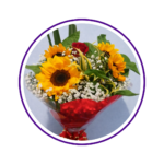 casa-flor-2-2.png