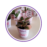casa-flor-9-1.png